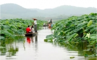 赞！嘉鱼珍湖正式成国家湿地公园试点