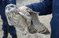 赤壁森林公安查获一起非法捕猎重点野生动物案