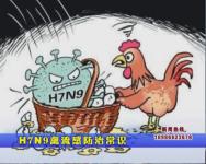 H7N9禽流感防治常识 