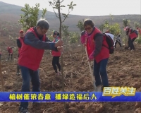  植树催浓春意  播绿造福后人