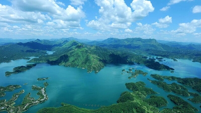 云上咸宁——通山筑巢引凤“硕果累累” 签约项目投资金已达30亿