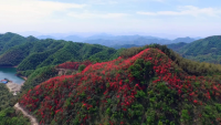 通山大幕山：春日风景美如画 赏花游玩好去处