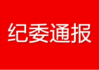 咸宁10名干部被市纪委通报