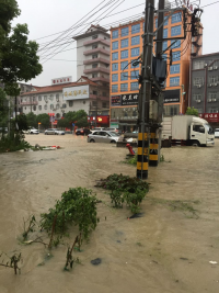 多图 | 通城暴雨 部分地区受灾 供电、消防齐出动