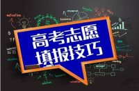 收藏！全国高校专业10强排行，报志愿必备！