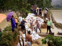 【焦点】强降雨致我市多地受灾 干群积极开展自救