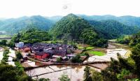 通山下陈村：精准扶贫做足“山”字文章