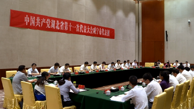 黄楚平参加咸宁代表团审议时提出 发挥比较优势 实现奋勇争先