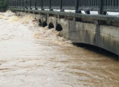 暴雨下的淬炼 ——应对抗灾救灾的咸安答卷