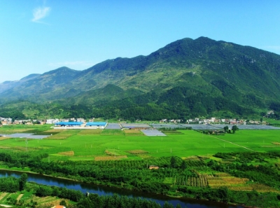 长江云/云上咸宁——通山：半年完成绿化面积23万亩 筑牢生态屏障