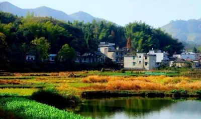 我县又添一批“湖北省绿色示范乡村”