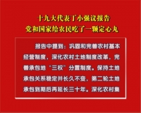 十九大代表丁小强议报告：党和国家给农民吃了一颗定心丸