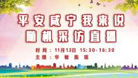 直播回放  | 平安咸宁我来说