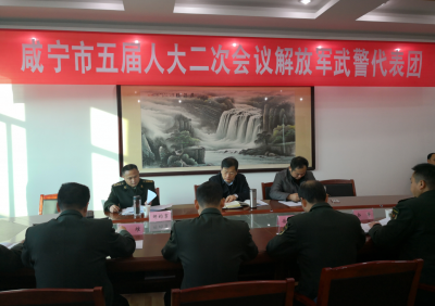 云上咸宁——丁小强参加解放军武警、通山代表团审议：推动十九大精神在基层落地落实