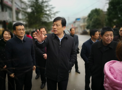 丁小强赴通山崇阳检查脱贫攻坚：坚决打赢精准脱贫攻坚战
