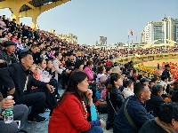 高手云集！这里正在上演一场龙狮相会