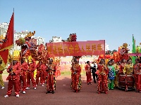 高手云集！这里正在上演一场龙狮相会