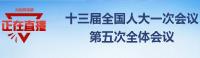 直播 | 特别报道：选举新一届国家机构领导人