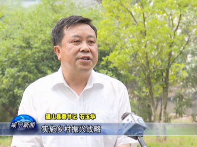 乡村振兴看咸宁 | 石玉华：坚持“四个结合” 推进乡村全面振兴