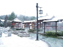 咸宁“热汤白雪”受宠