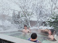 咸宁“热汤白雪”受宠