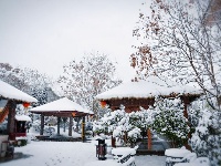 漂亮一一香城雪颜