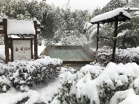 咸宁“热汤白雪”受宠