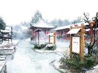 咸宁“热汤白雪”受宠