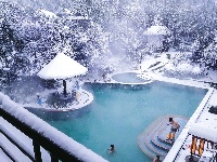 咸宁“热汤白雪”受宠