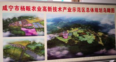 丁小强：在“农”“高”“新”“区”四个方面下功夫  加快推进杨畈农高区建设