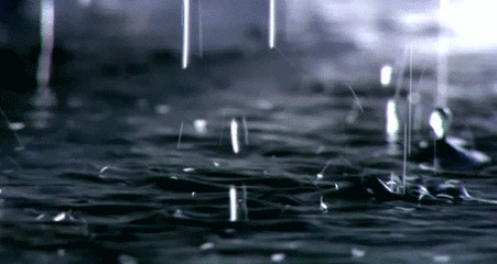 我市启动气象灾害（暴雨）Ⅳ级应急响应