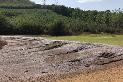 汀泗桥镇：引入清泉润民心