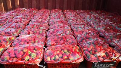 长江云、云上咸宁——从“菜园子”到“菜篮子” | 咸宁推行农产品直送社区服务模式