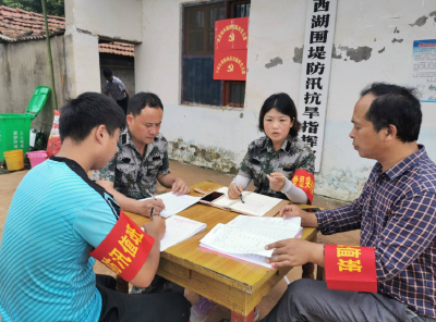 西湖围堤上的铿锵玫瑰
