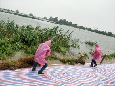 斧头湖堤党旗飘