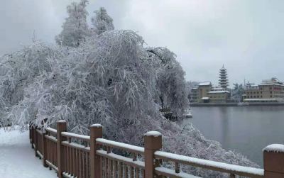 云上咸宁——组图 | 九宫山，下雪了！