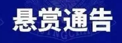 云上咸宁——最高奖励4.8万元！通山法院发布悬赏通告