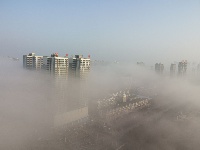 此时此刻丨咸宁大雾