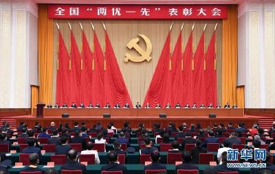 程桔获全国表彰！