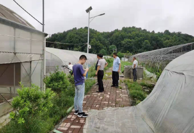 云上咸宁——强降雨来袭 通山人保迅速应对