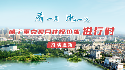 区委书记顾兴旺：发扬“拼抢实”作风 确保全年精彩——拉练进行时