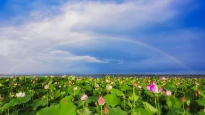 湿地星罗棋布点缀“1+8”