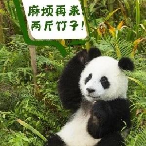 太可爱了吧！想rua！