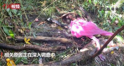 户外遭遇失温有多可怕？遭遇失温后该如何应对？