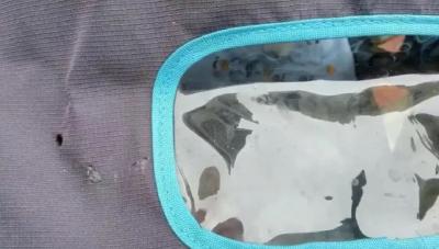 “所有人验DNA！” 肇事者已自首