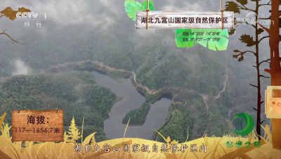 云上咸宁——通山九宫山国家级自然保护区白鹇亮相央视《秘境之眼》