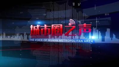 城市圈之声 | 政府工作报告中，武汉城市圈的机遇在这里