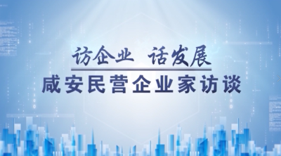 咸安民营企业家访谈① | 敏实集团：打造汽车零部件龙头企业