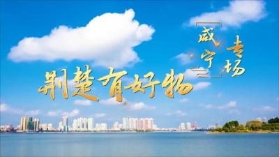 今晚九点 ，相约《荆楚有好物》咸宁专场