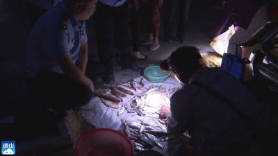 云上咸宁——收缴非法捕捞渔获129.5斤 通山严厉打击非法贩卖野生鱼行为